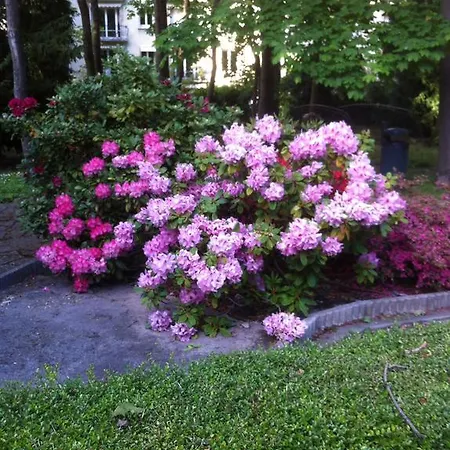 Chambres D'hotes Chez Berenice Bed & Breakfast