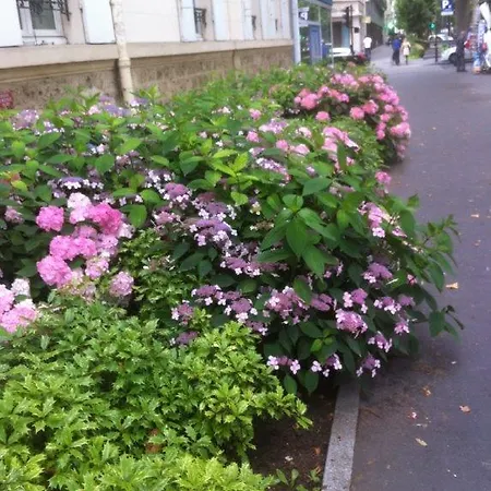 Chambres D'hotes Chez Berenice * Neuilly-sur-Seine